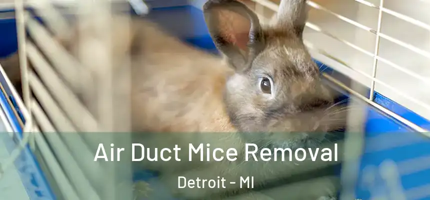 Air Duct Mice Removal Detroit - MI