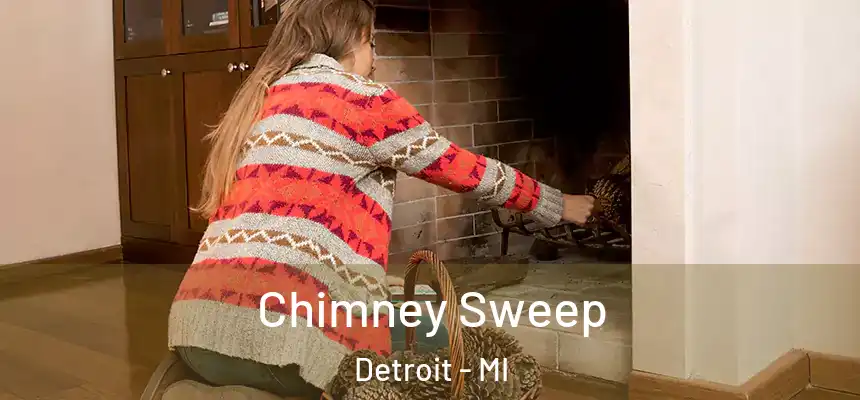 Chimney Sweep Detroit - MI