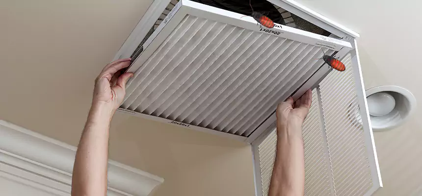 Preventive Cockroach-Proofing for Ducts in Detroit