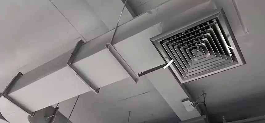 Restorative Allergy Relief Vent Cleaning – Coil, Blower & Housing Detail in Detroit