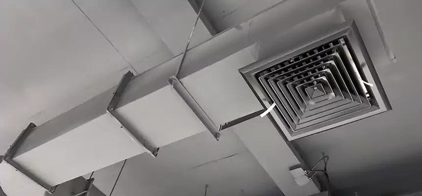 Our Pest Removal From Ducts Services in Detroit, MI