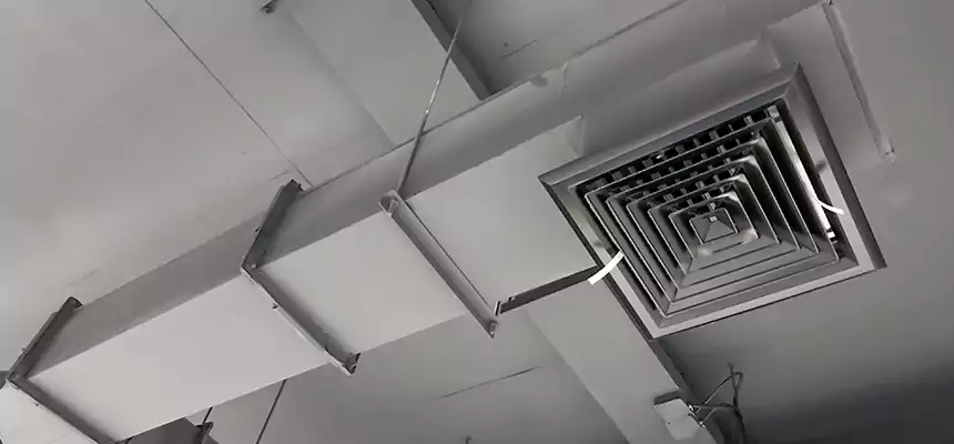 Our Rodent Droppings In Vents Services in Detroit, MI