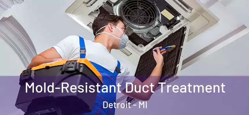  Mold-Resistant Duct Treatment Detroit - MI