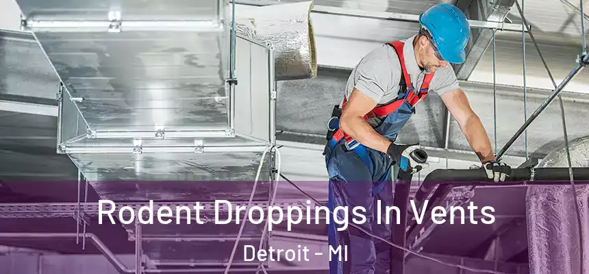  Rodent Droppings In Vents Detroit - MI