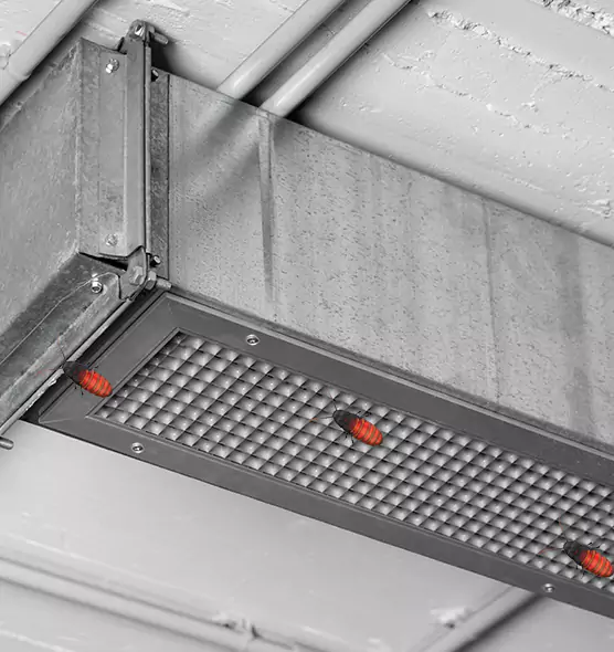 About Air Duct Cockroach Removal in Detroit, MI