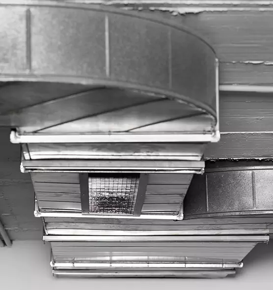 Professional Air Duct Pest Removal in Detroit, MI