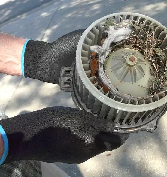 About Air Duct Rat Removal in Detroit, MI