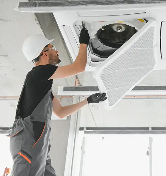 About Air Duct Rodent Removal in Detroit, MI