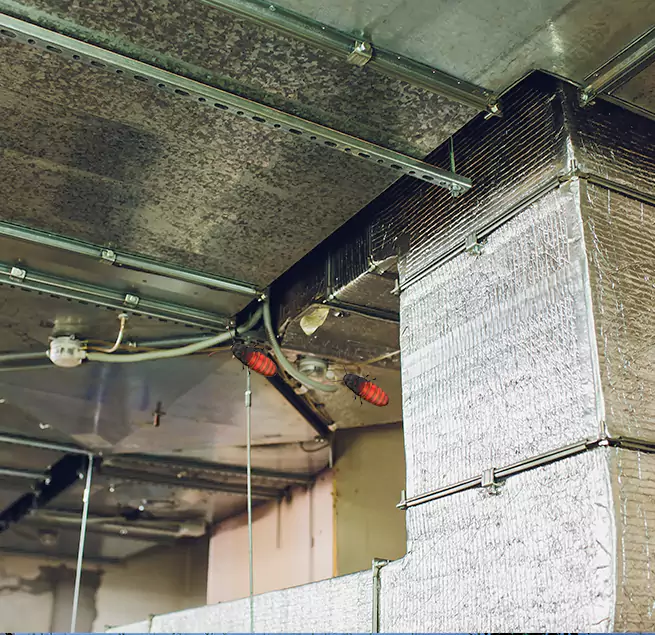 Why Homeowners & Businesses Trust Us in Detroit, MI?