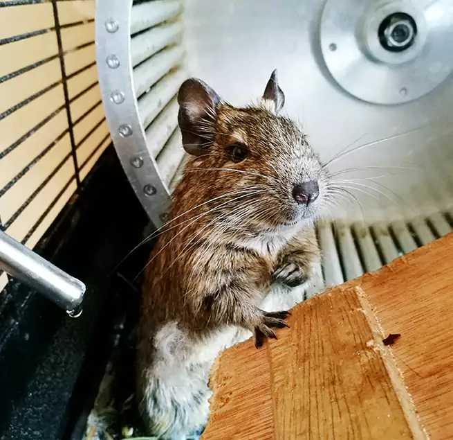 Why Homeowners & Businesses Trust Us Detroit, MI