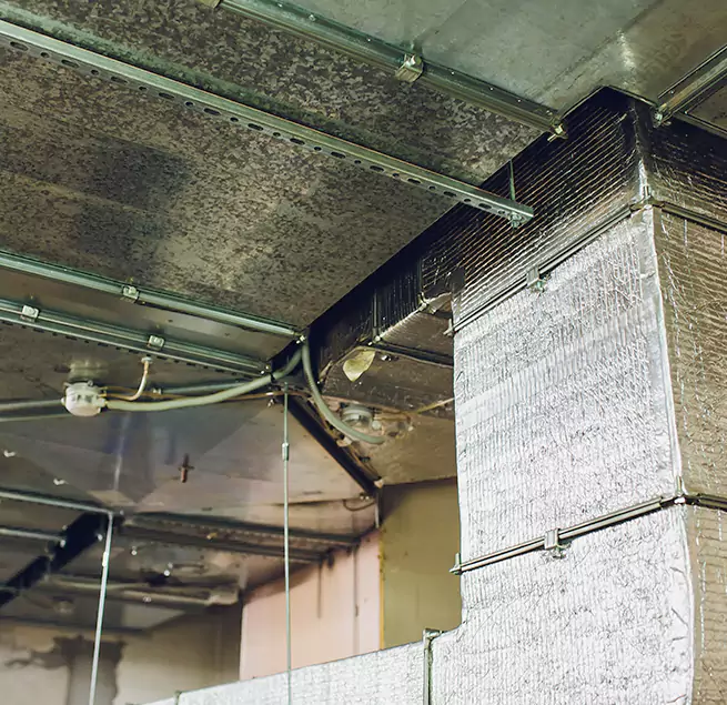 Why Homeowners & Businesses Trust Us in Detroit, MI?