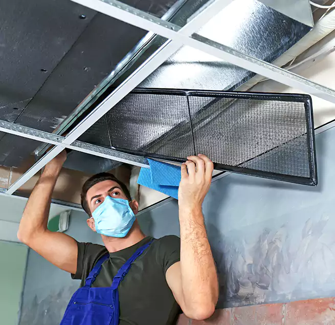 Why Homeowners Businesses Trust Us in Detroit, MI